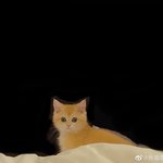 [레이] 사담)무이야기