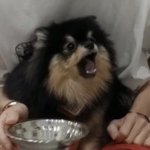 [방탄소년단] 벽반이삐들 진짜 나빠