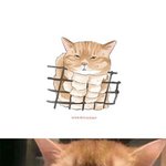 <b>물감</b>으로 슥슥 그린 치명적 냥이들