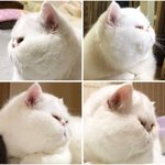 [드루와] 우리동네 <b>확진</b>자 4명인데 학교감