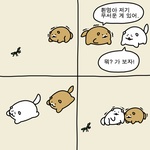[댓글부탁해] 짝남하고 인사는안하는데 연락은하는 애들없냐