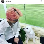 [EXO] 비비랑 찍은거 트랙 뮵 예상한다