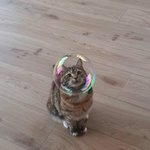 진짜 내말 들어주라ㅠ 우리반에 <b>오타쿠</b> 있는데 사회성이 너무 없어ㅠ