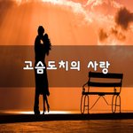 [꼭보세요] 고슴도치의 사랑~