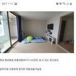 스폰지밥 <b>징징</b>이그림 근황.jpg