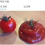평소에 무<b>쌍</b>인데 졸사때 <b>쌍테</b>