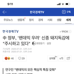 [드루와] ‼️‼️중국에서 새로운 돼지독감/ 돼지<b>열병</b> 발견됐대!...