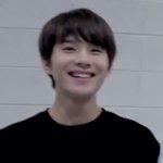 이거 강아지아님??