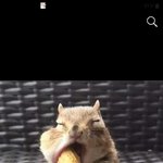 [댓글부탁해] 하아틴 영화랑 <b>sf</b> 영화 추천 좀 해주라