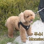 [EXO] 무슈가 확실히 비비보다 더 똥꼬<b>발랄</b>하네