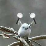 [방탄소년단] 이삐들 다 <b>자낭</b>