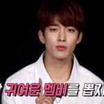 주기적으로 봐줘야 하는 세븐틴 네컷 만화