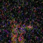 이<b>사온</b>얘 열감지 카메라 설치함