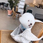 엄마랑카페데이트