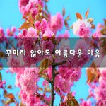 [좋은생각] 꾸미지 않아도 아름다운 마음~