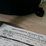 열난다고 <b>격리</b>됐어