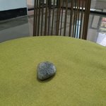 [드루와] ㅈㄴ <b>희귀</b>동물 키우는데 질문 받는다