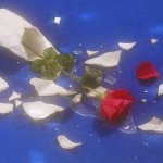 [댓글부탁해] 넌 날 <b>알</b> <b>필요</b>도 없고 날 질투해도 돼