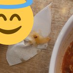 [이것좀봐줘] 밥 먹다가 <b>벌레</b> 나왔는데