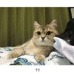 [드루와] 친구나 애인이랑 어이없는걸로 싸워본 적 있어?