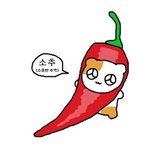 [드루와] 내친구 <b>금수</b>전데 ㅈㄴ 완벽함...