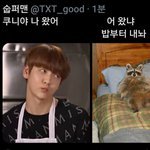[TXT모아] <b>쿠니</b>야 나 왔어