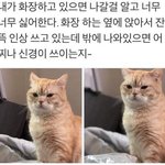 [댓글부탁해] 이 행동이 <b>정상</b>은 아니지?