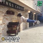 <b>이런</b> <b>사진</b>은 어케 찍는거임???????