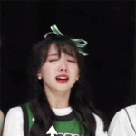 [드루와] 얘들아 와드 박고 가주면 안되니...?