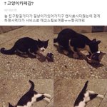 최찬희 <b>에스</b>크 내가 좋아하는거 3개