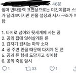[알페스] +사진 추가함) 유사점 이거 그냥 <b>작품</b> 안 보고 쓴 거 아님?
