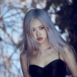 블랙핑크 로제 인스타그램 업뎃
