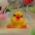 미자 혼자 <b>숙박</b> 불가능함??