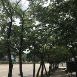 얘들아 나 학교생활 ㅈ망한 듯