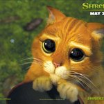 [드루와] 나 수행평가 설문조사 좀 도와줄래?ㅜㅠ