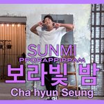 선미댄서로 유명한 <b>차현</b>승의 보라빛밤 댄스커버영상~!