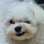 [NCT] 엥..? 무슨 7드림이야