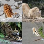 나 진짜 개웃긴 <b>일화</b> 봐봐