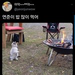 [TXT모아] 툽탐/  연준이 밥먹는중<b>이얌</b>