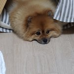 [그냥쓰는글] 내나이 48세 미치도록 사랑하고 싶다...