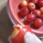 [드루와] 와따 <b>자두</b> 짱맛있다!