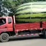 [NCT] ㅋㅋㅋㅌㅋㅋ 아 씨 누가 마크 <b>고독</b>방에