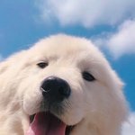 [드루와] 아이패드 추천해주면 복받음