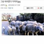 [드루와] <b>꿀팁</b> 하나 알려준다