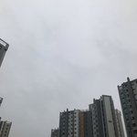 ㅈㄴ <b>비올</b> 거 같다 !!!