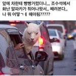[드루와] 고1 <b>수포</b>자들아 너네 학교 수업이라도 열심히 들어보셈