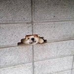 고3 들어와줘 제발 ㅠㅠ