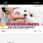 <b>송대</b><b>익</b> 이 잘못하긴 했는데 자기들이 알아서 하겠지