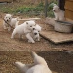 [모두드루와] <b>AOA</b> 지민 탈퇴 찬반 가자