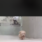 [NCT] 걍 이동혁 이잖아 ....